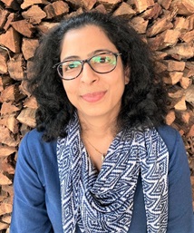 VK Agarwal